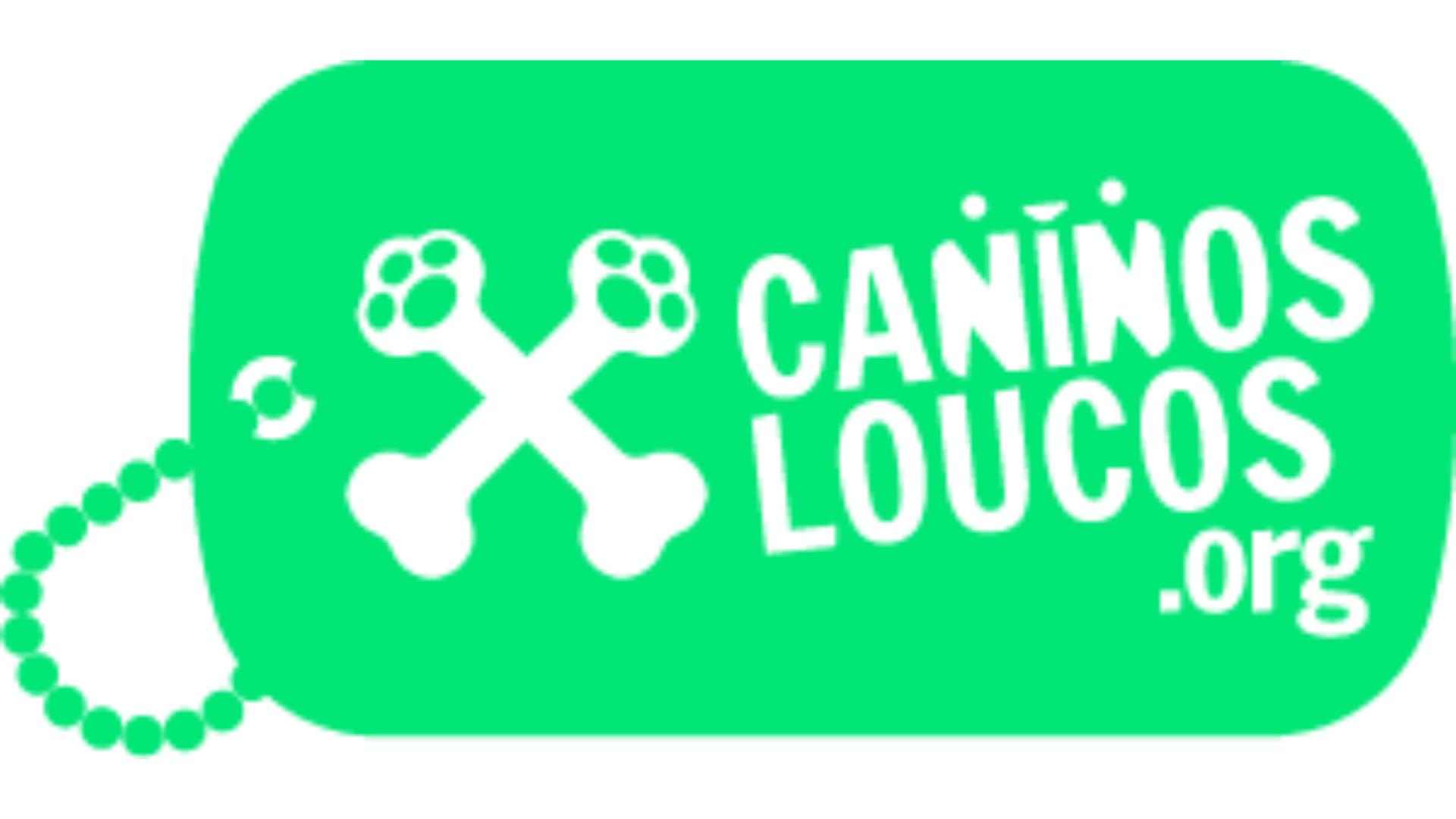 Caninos Loucos